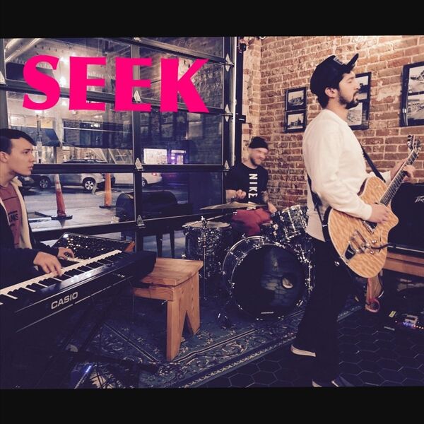 Cover art for Seek